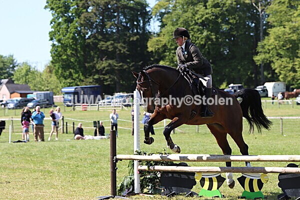 IMG_4468 - Working Hunter