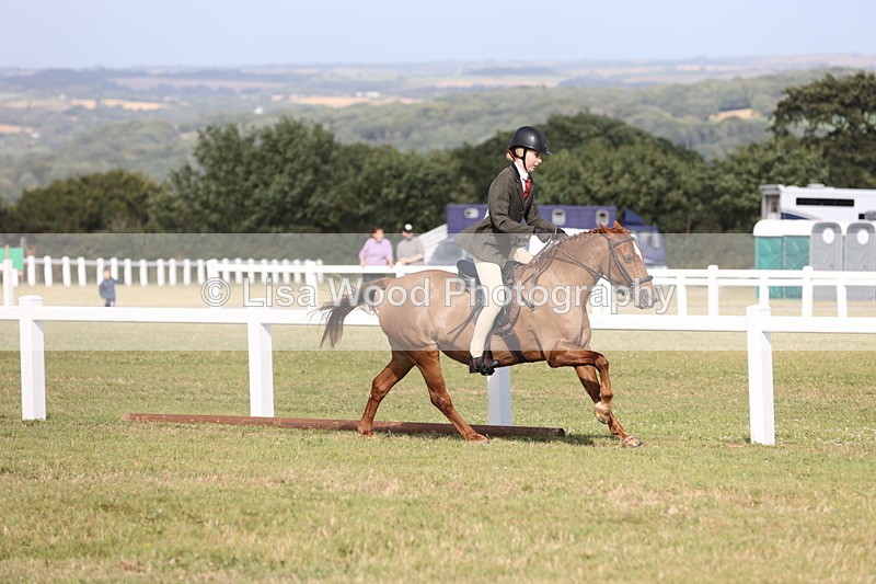 JPP_2933 - Class 20: Working Hunter 70cm