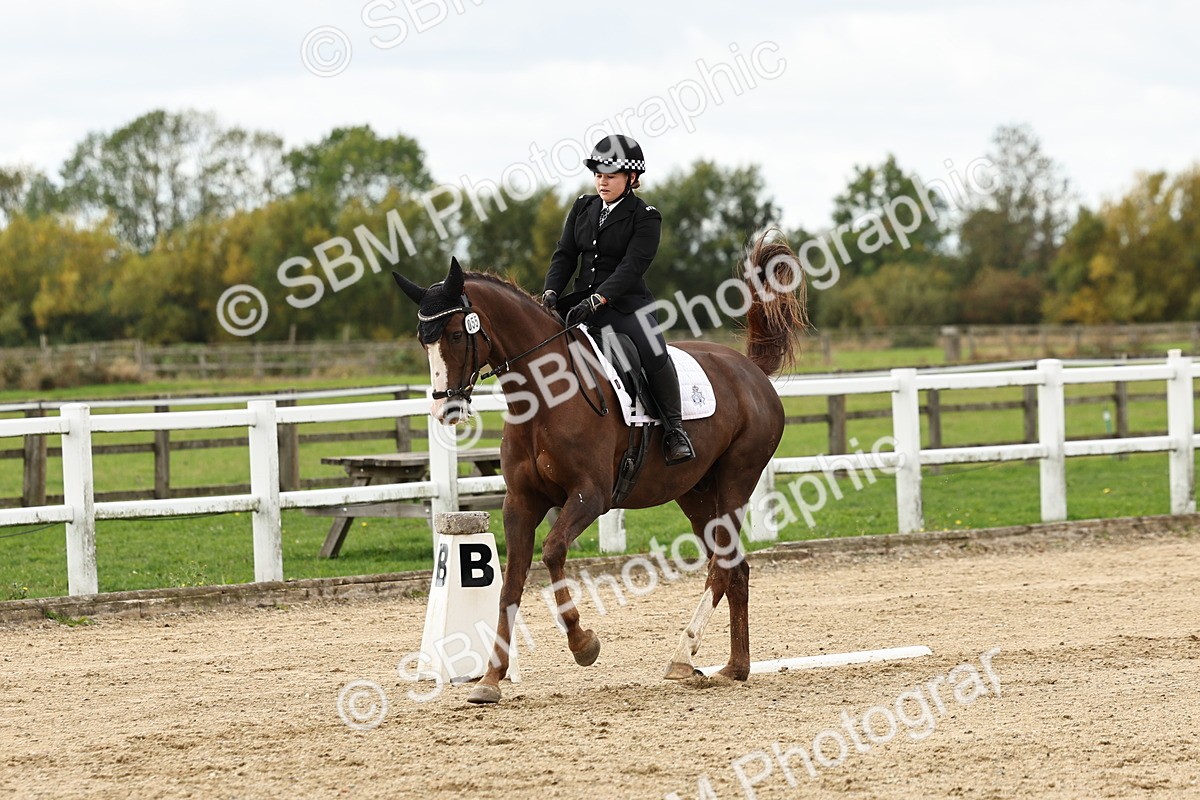 SBM_004542 - Class 69 - Novice 2