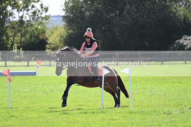 WJ7_1272 - Time 13:56 to 14:24