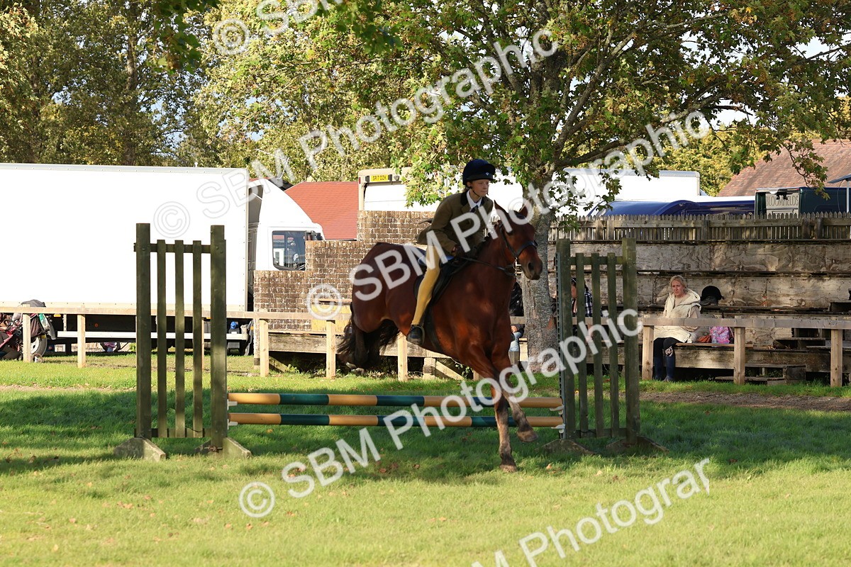 SBM_52551 - S13 - Pony Club Pony