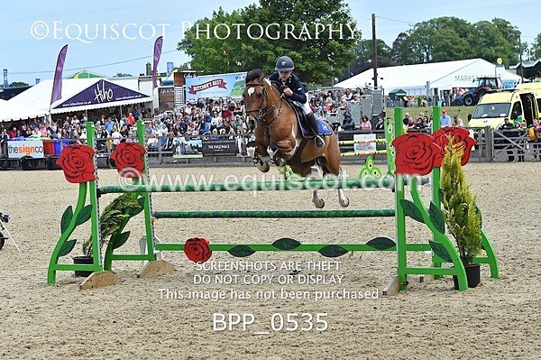 BPP_0535 - RHS 2019 Selection - *Just some random spectator shots so Lucky Dip if you are there!