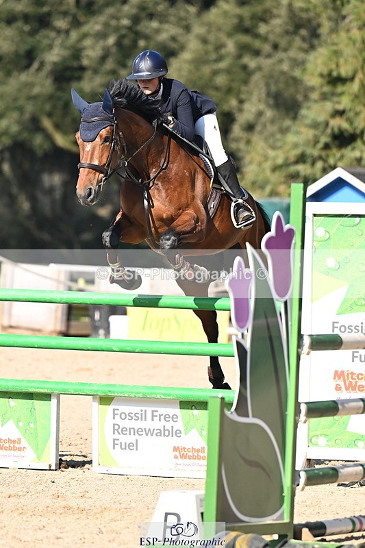 260321A-150150-01036 - 6 Foxhunter 1m 20 Open