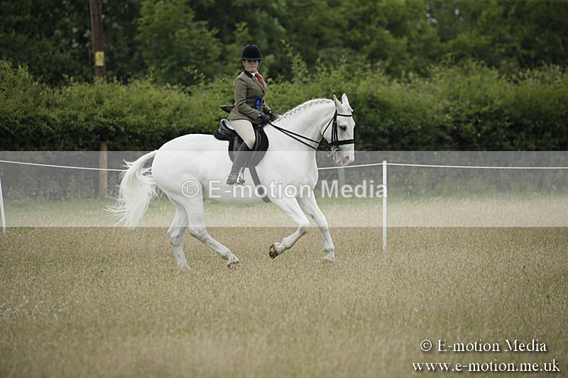 B230619-0806 - Bourne Valley Riding Club Summer Show 23/06/19