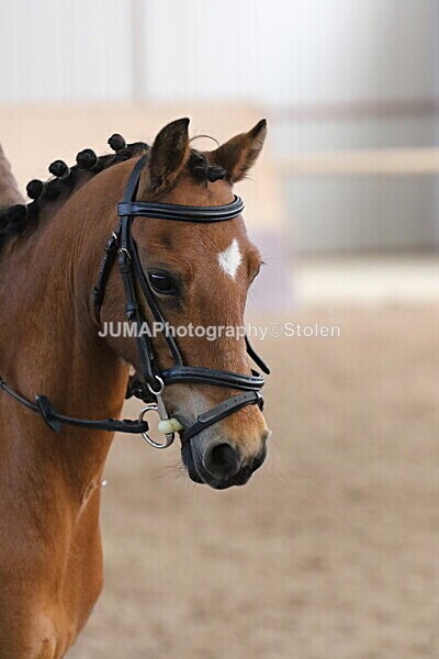 SIAL1787 - Indoor Classes