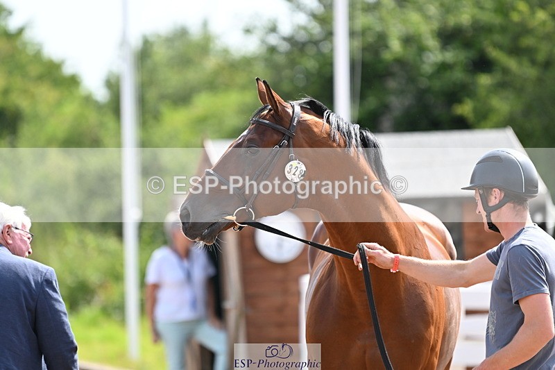 240717A-152931-02843 - Trot Up 3pm to 4pm