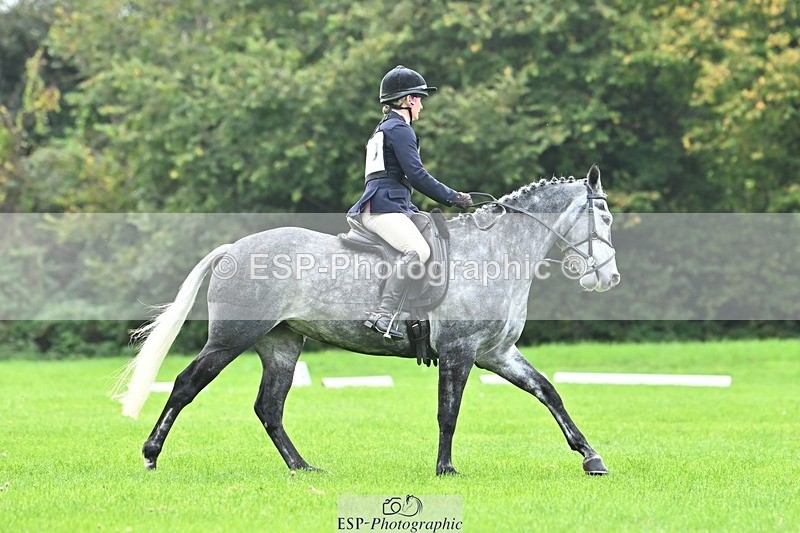 241024-115343-02534 - 320-Alice.Tollworthy-OUR.DOLPHIN.STAR