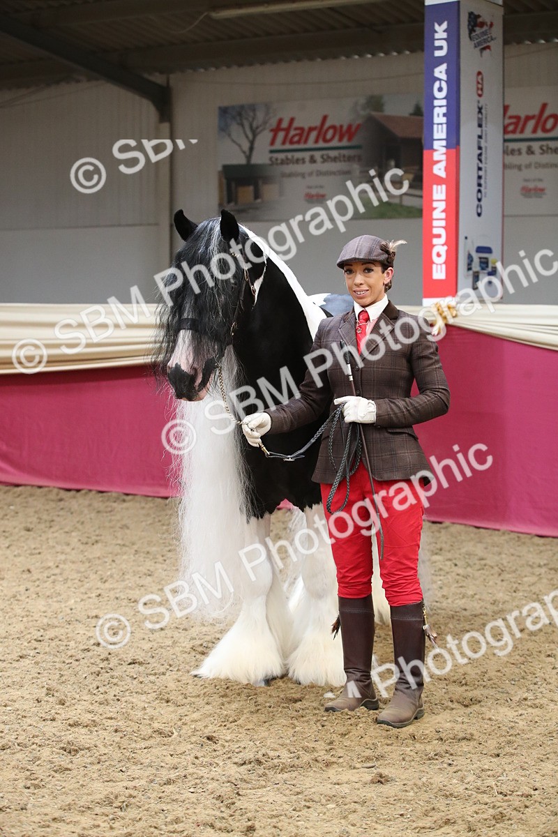 SBM_05773 - Class 9R - Regional IH Pre-Vet