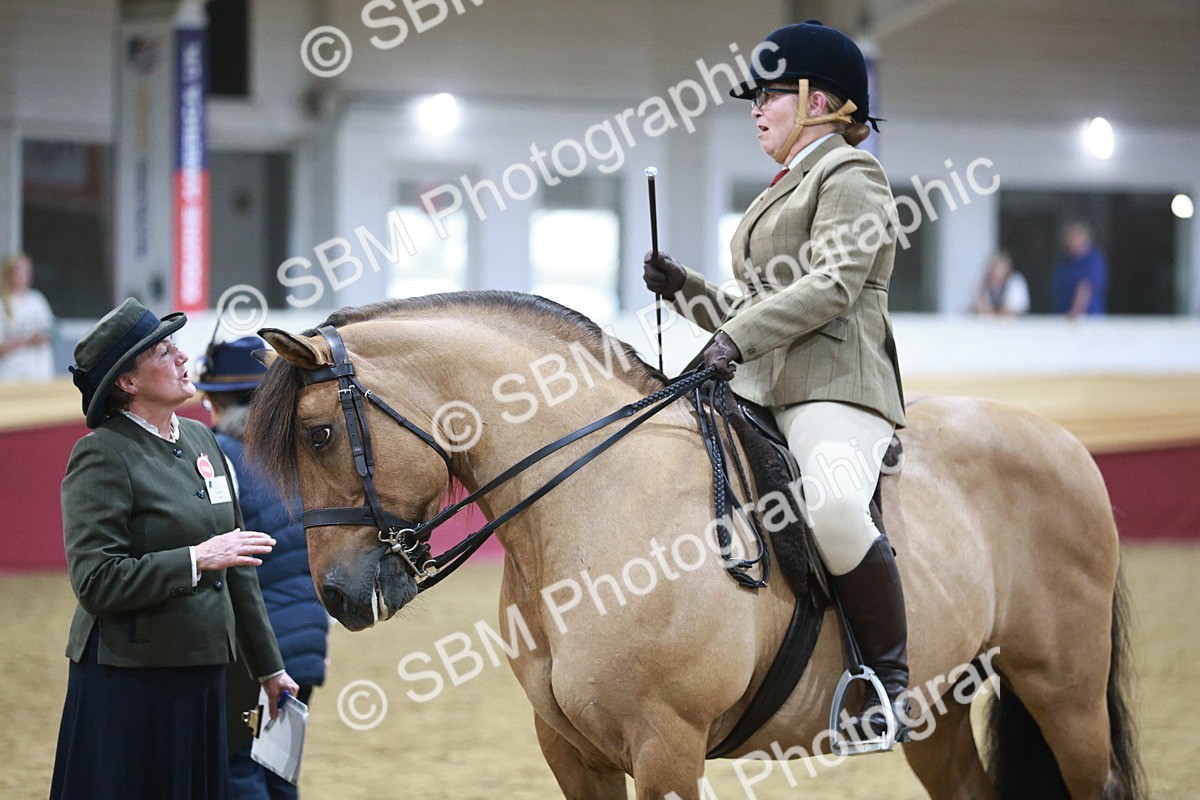 SBM_08104 - Class 11R - Regional Ridden Veteran