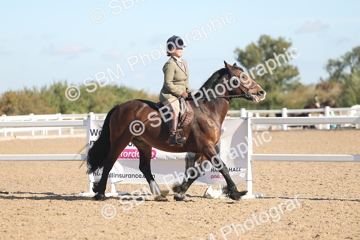 SBM_12284 - Class 304 - Ridden part Bred Horse Pony