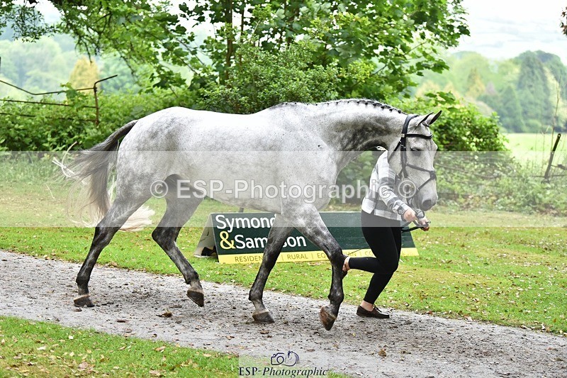 240522-165226-01220 - 226-CLONSHIRE_ON_TREND-Heidi_Coy