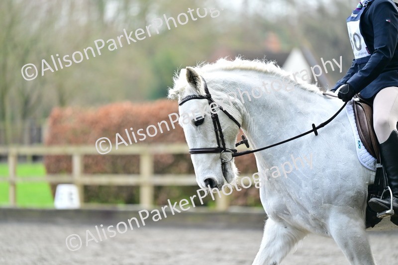 20260125-3634 - Class 12 - Novice