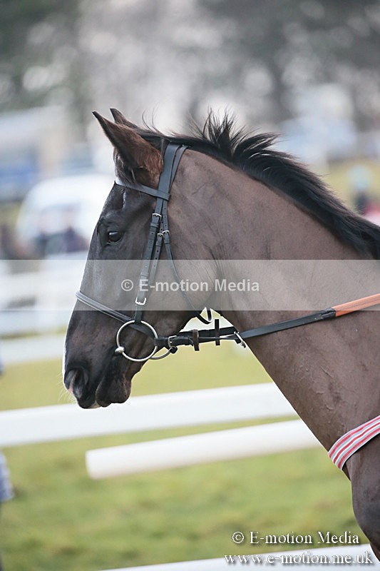 PtP 170219 -726 - Combined Services Point-To-Point Larkhill 17/02/19