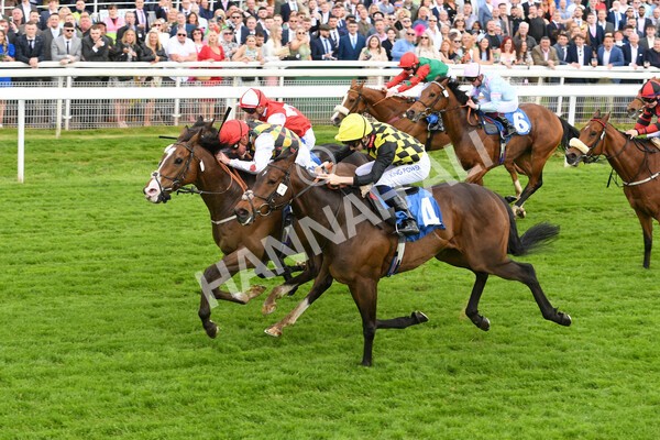 yr21052022r1-20 - Race 1: 1:40pm William Hill Play Responsibly Stakes