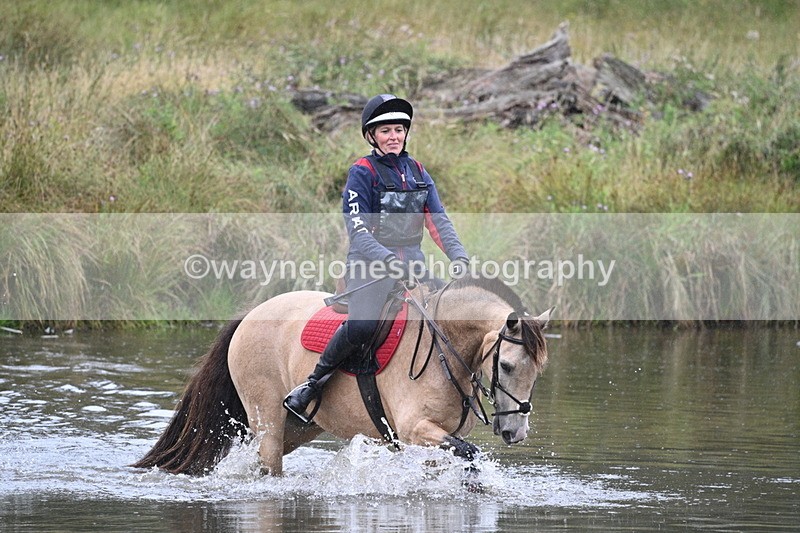 WJ7_7854 - Time at Water 11:06 to 11:21