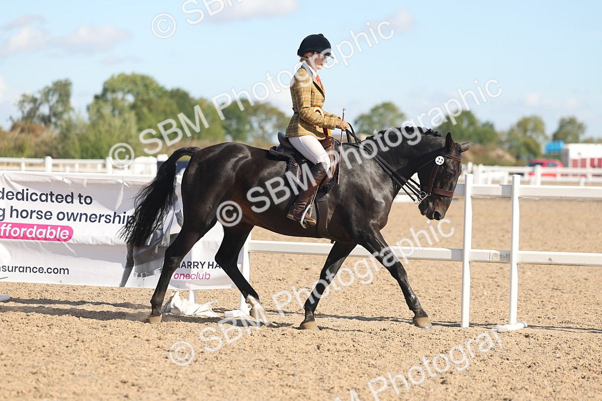 SBM_12443 - Class 304 - Ridden part Bred Horse Pony