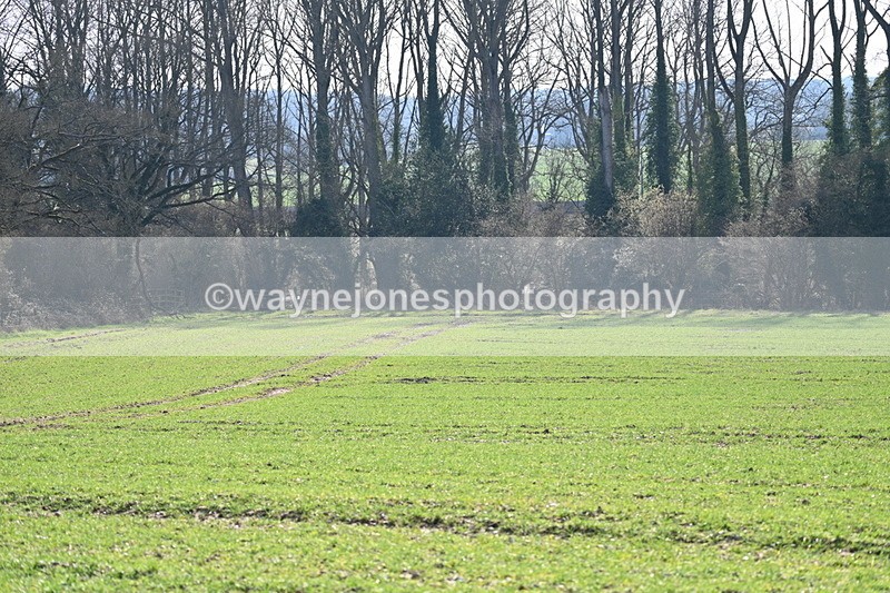 WJ7_5660 - Camera A