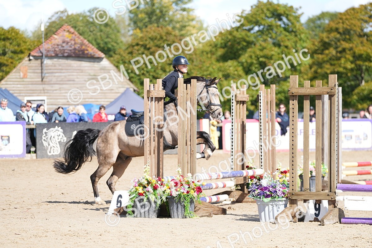 SBM_19806 - J49 - Open 50cm