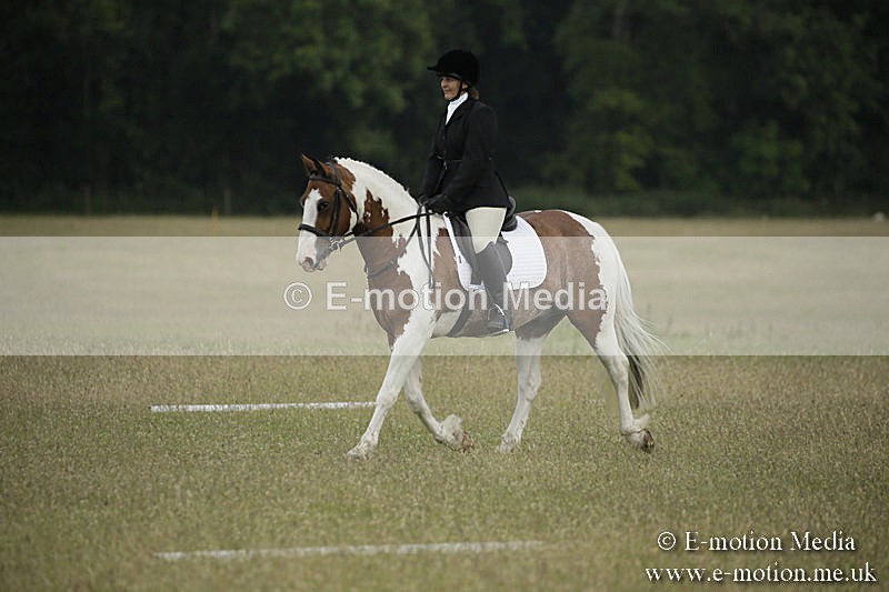 B230619-0212 - Bourne Valley Riding Club Summer Show 23/06/19