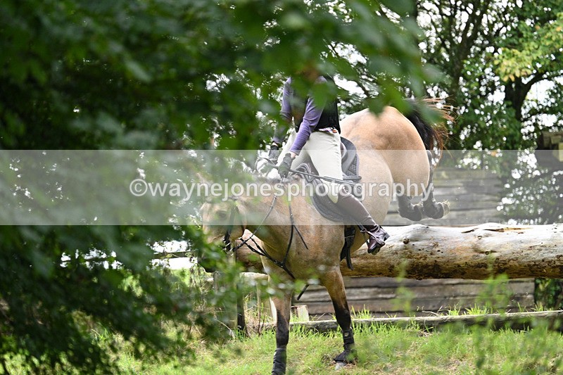 WJ7_8173 - Time 14:11 to 14:30