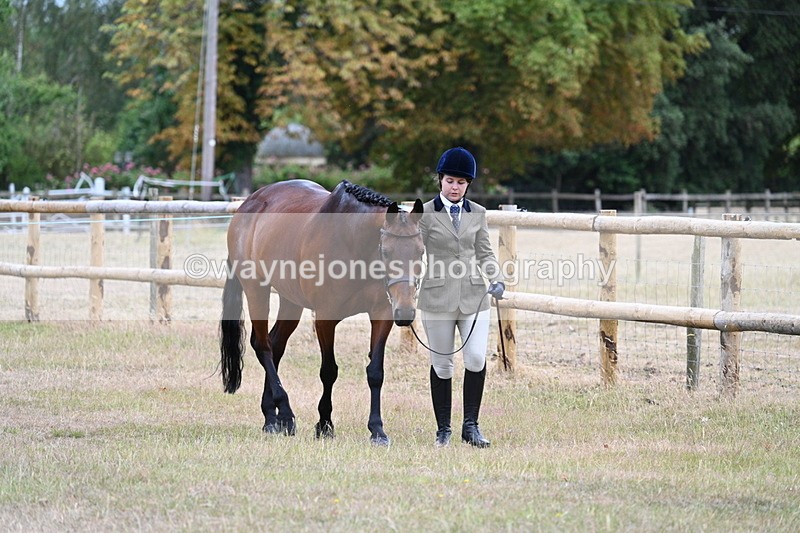 WJ7_8948 - Class 4a Prettiest Mare 14.2hh and over