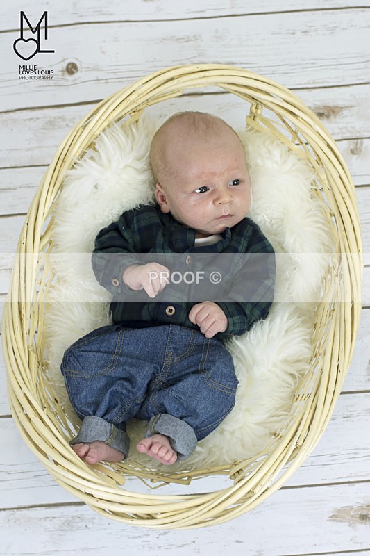 DSC_6529portfolio - Newborn Photoshoots