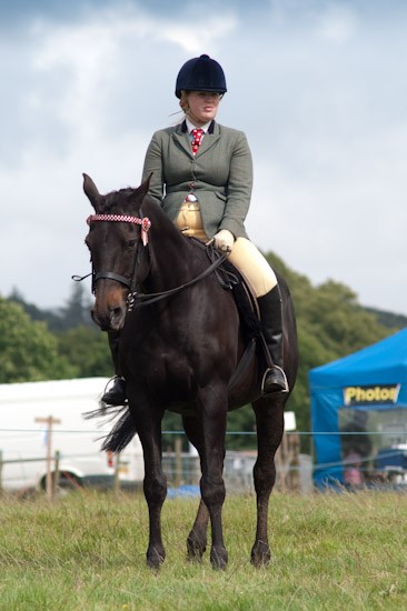 moniaive09-12 - Moniaive Horse Show 2009