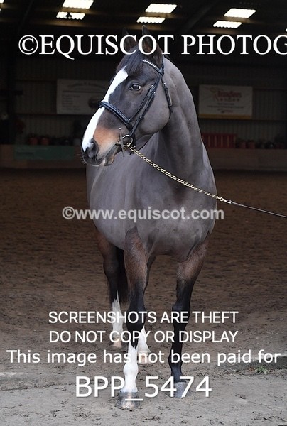 BPP_5474 - Morag Johnston