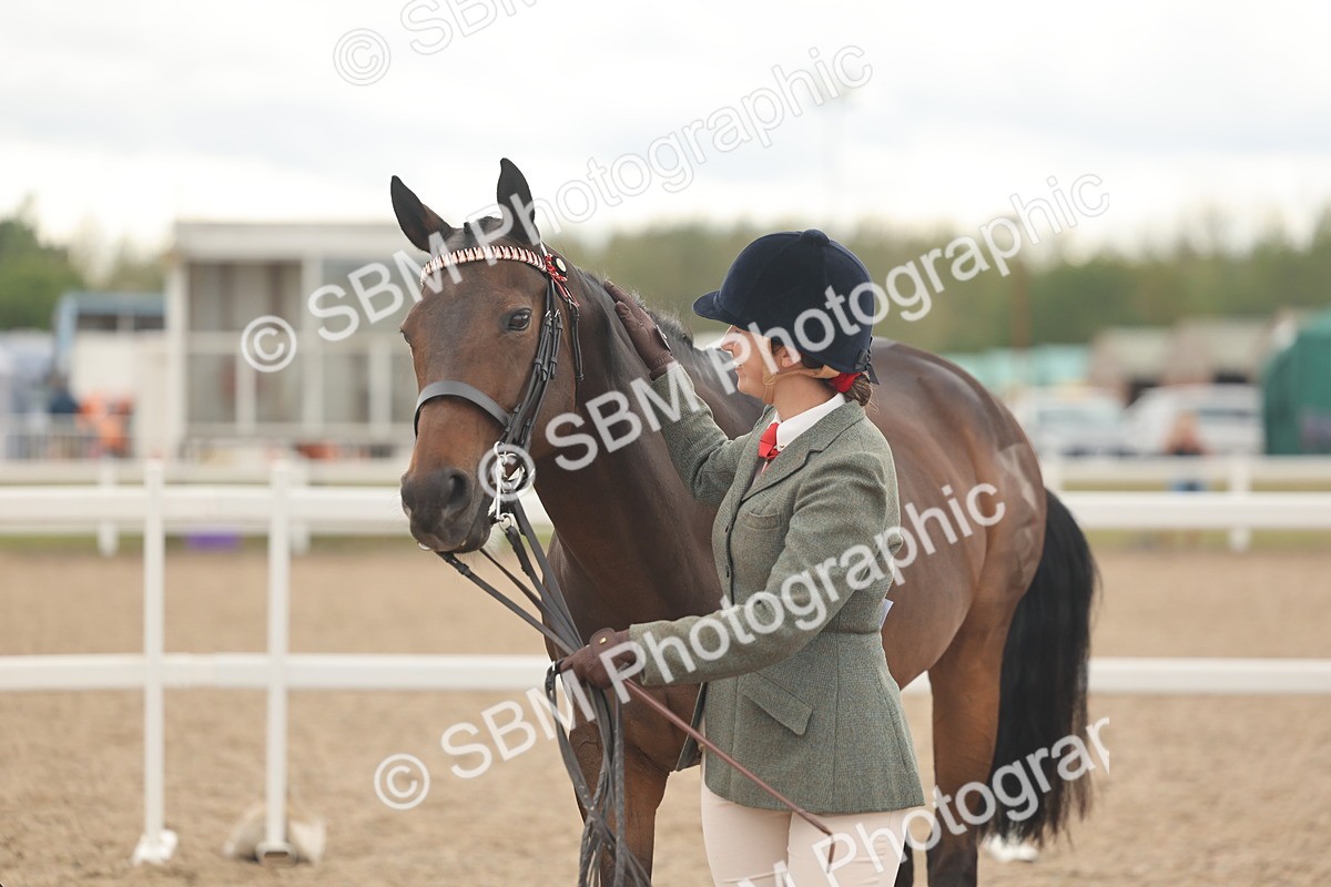SBM_17130 - Class 313 - IH Retired Racehorse