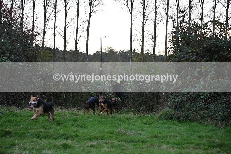 WJ6_0385 - Camera 1