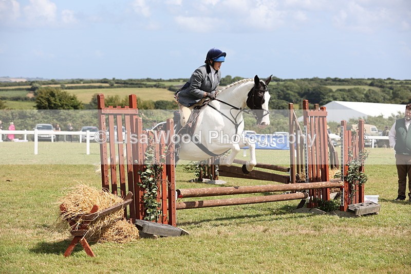 JPP_2200 - Class 19: Working Hunter 60cm