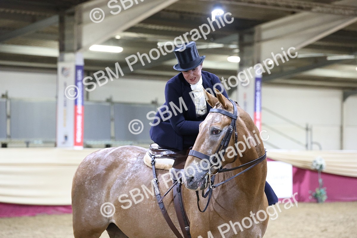 SBM_20985 - Class N - Side Saddle Champ