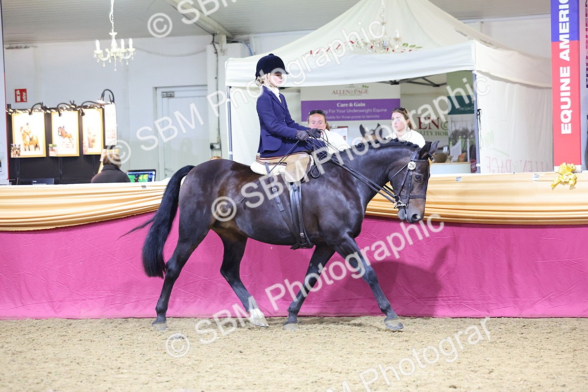 0B8A4248 - Class L Side Saddle Champ