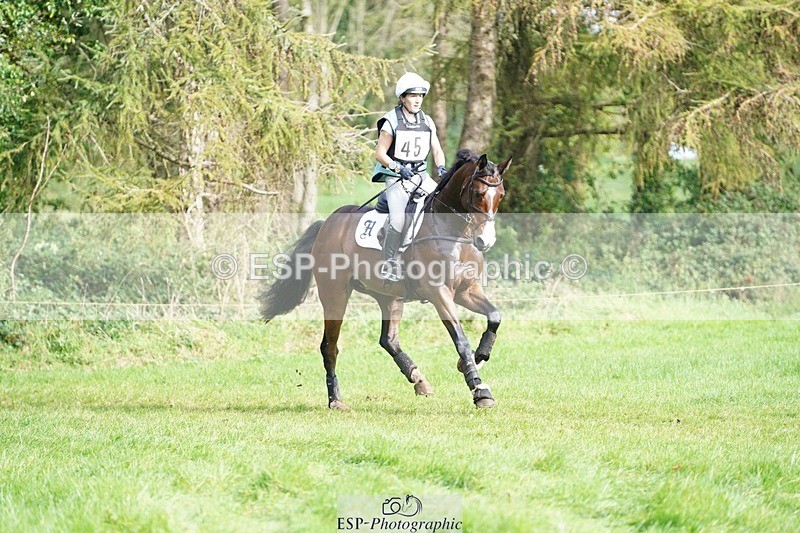 231020-113052-06931 - 045-HILDARE.REGARDE.MOI-Danielle.Mccormack-XC