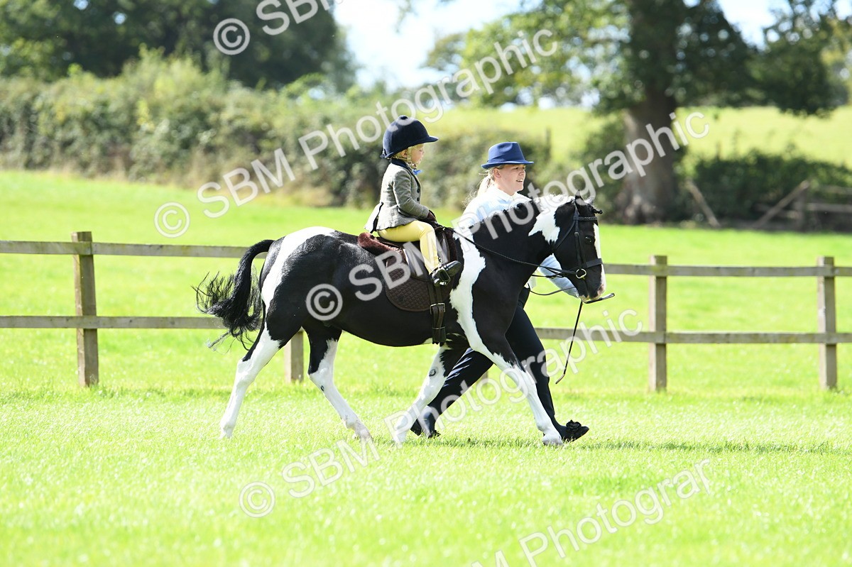 SBM_41160 - S19 - Lead Rein Show & Show Hunter Pony