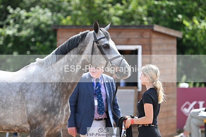 240717A-150842-02577 - Trot Up 3pm to 4pm