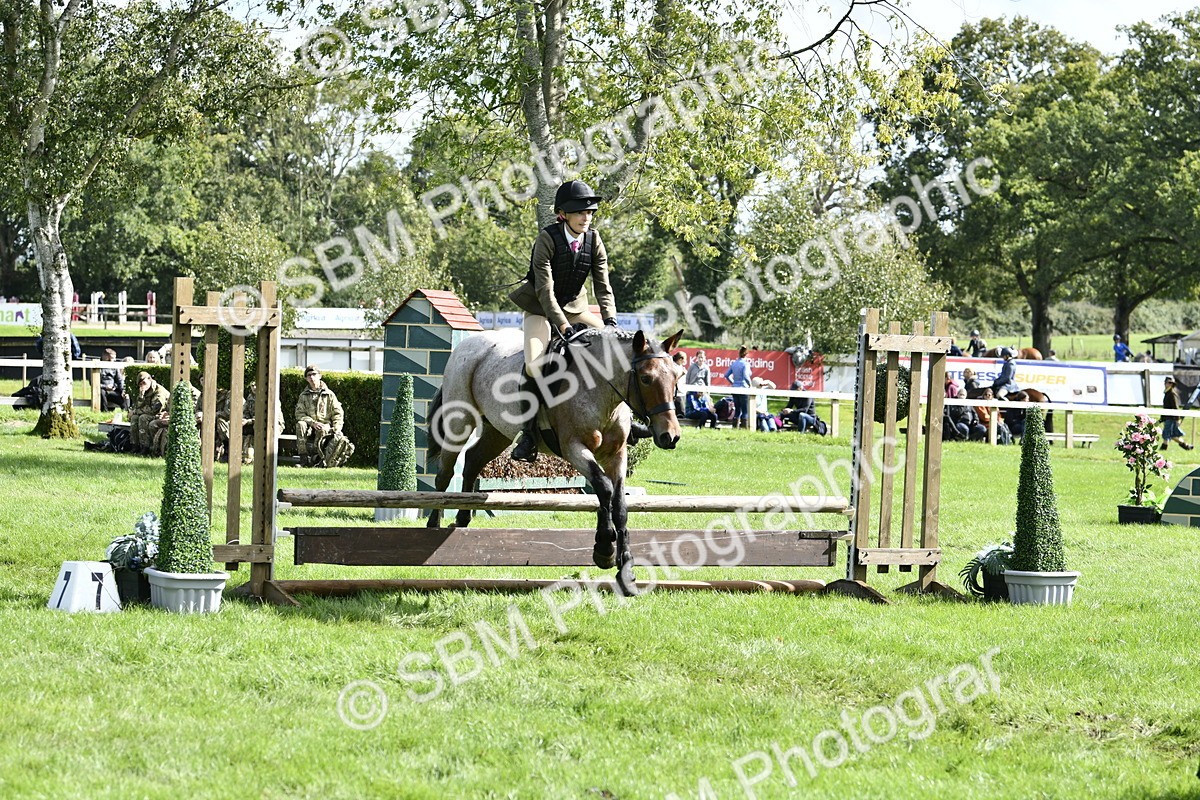SBM_45667 - S33 - Working Hunter Pony