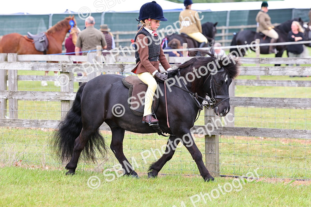 SBM_08496 - Class 42-43 - LIHS BSPS Heritage Working Sports Pony