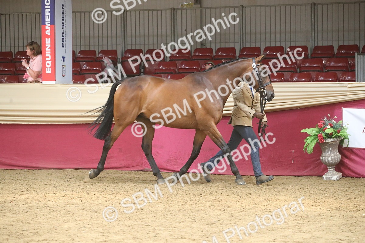 SBM_05525 - Class 9R - Regional IH Pre-Vet