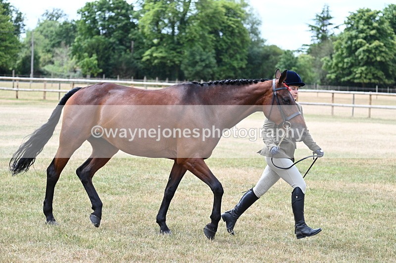 WJ7_1907 - Class 4a Prettiest Mare 14.2hh and over hand