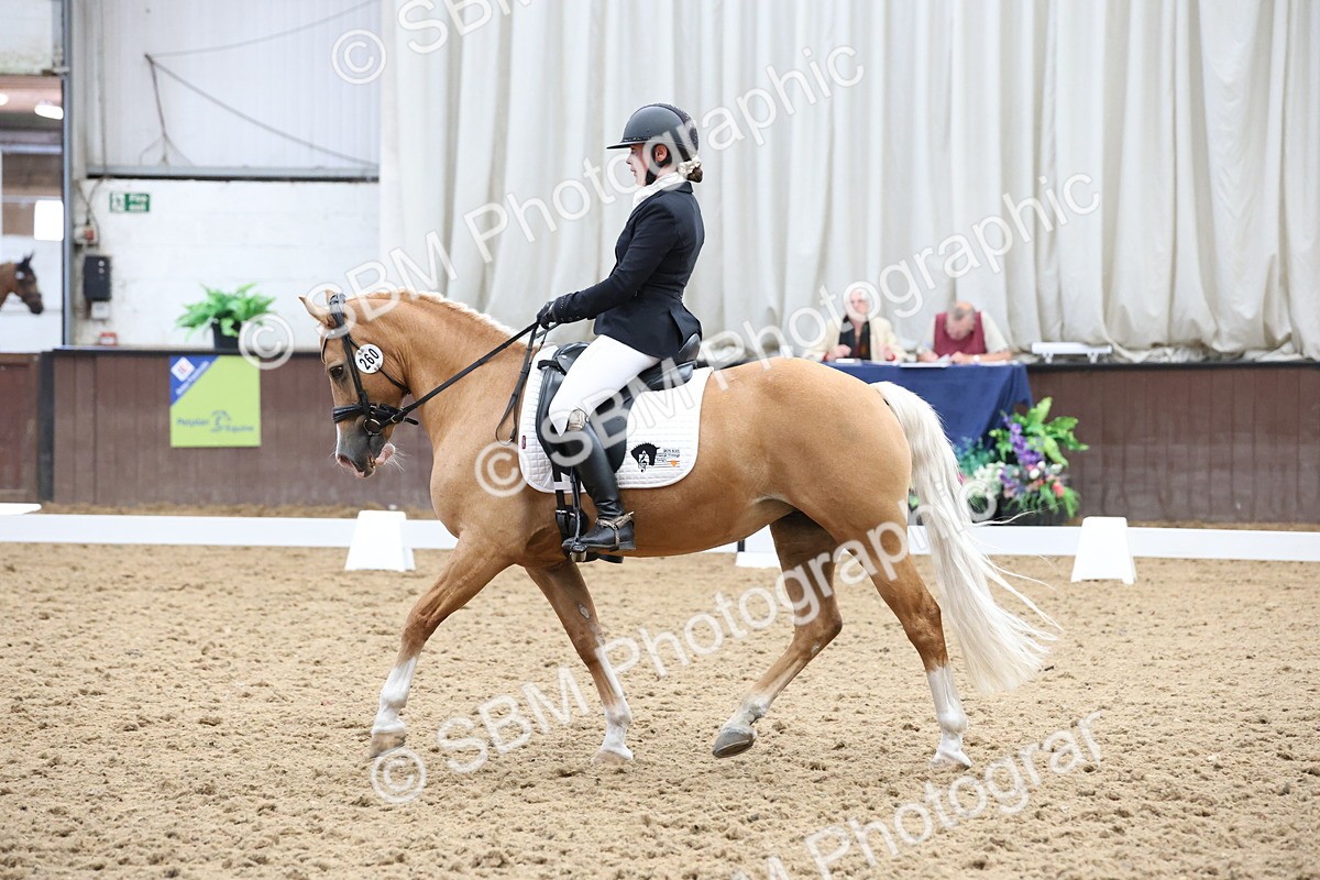 SBM_007562 - Class 23 - Medium FSM Bronze