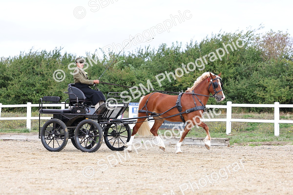 SBM_000745 - Class 6 - Exercise Vehicle 13.2 and over