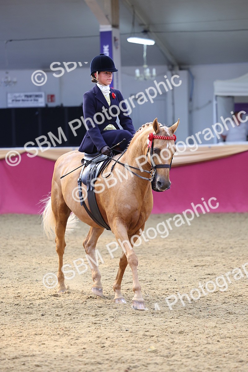 SBM_24464 - Class 906 - Supreme Final - Ridden Pre Vet