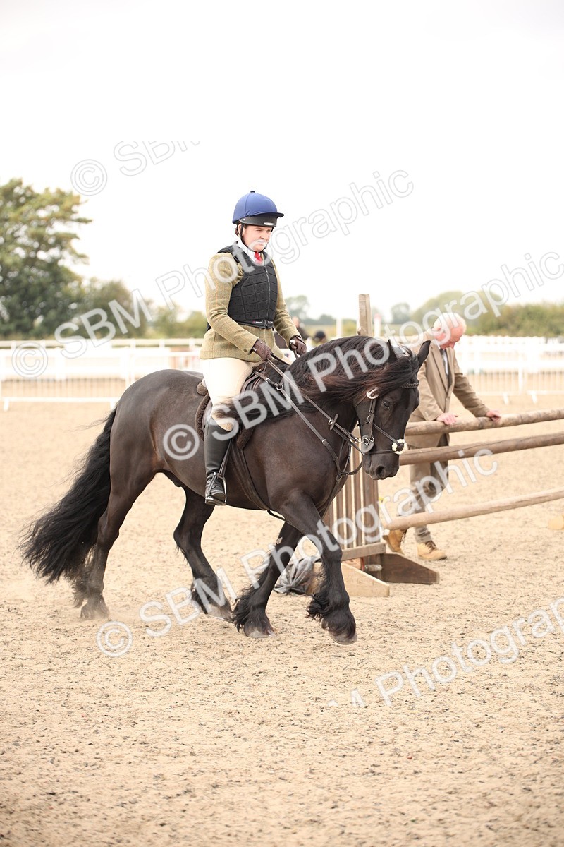 SBM_16178 - Class 409a - Working Veteran 80cm (15-19)