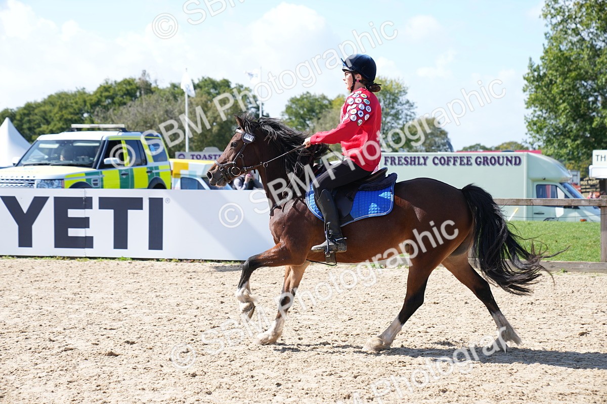 SBM_05028 - J56 - Clear Round 70cm