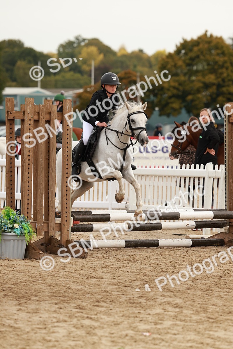 SBM_57629 - J11 - Junior Pony 50cm Championship