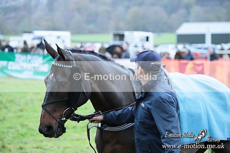 PtP 091125  0678 - Point-to-Point Wales Area Club Lower Machen, Gwent 09/11/25