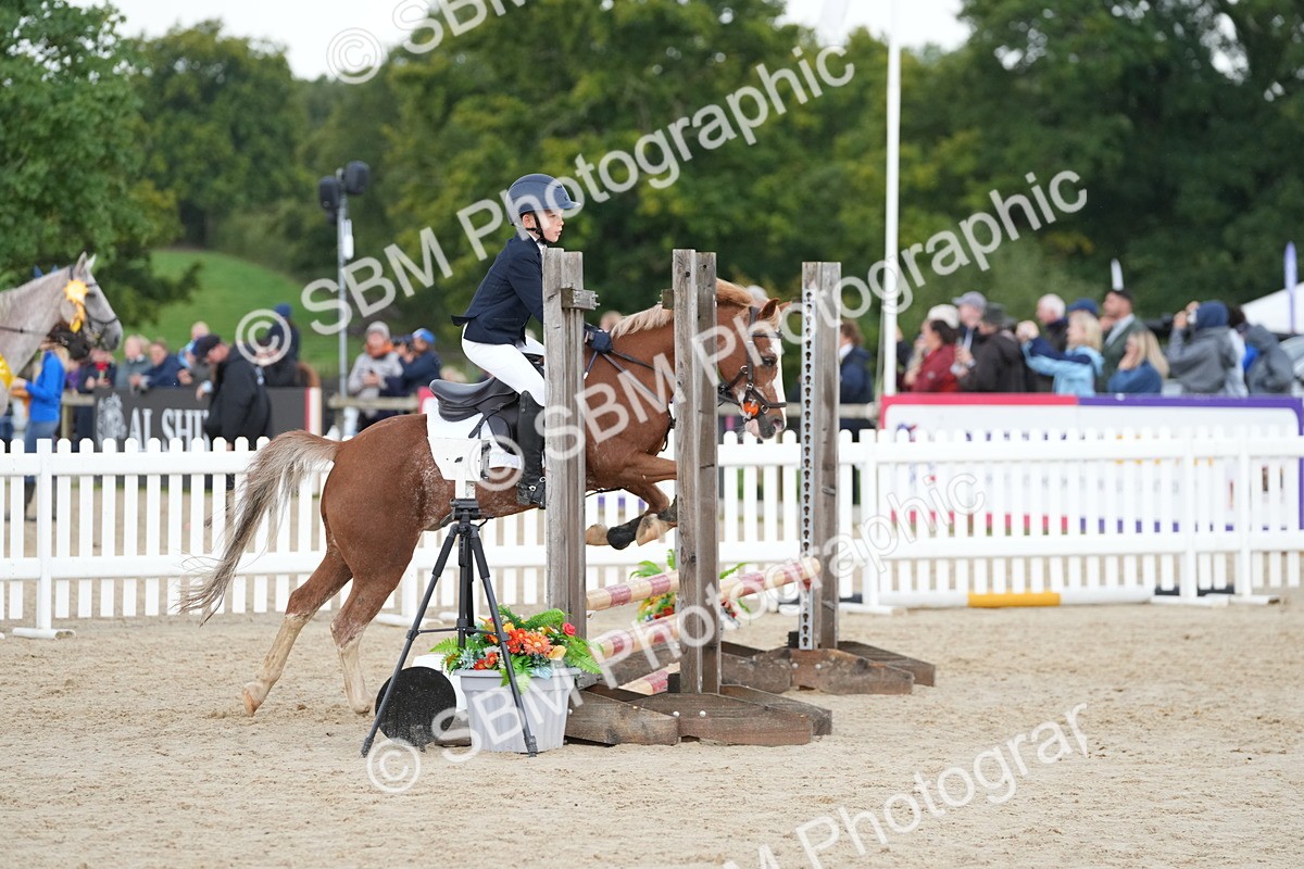 SBM_39913 - J6 - Junior Pony 55cm Championship