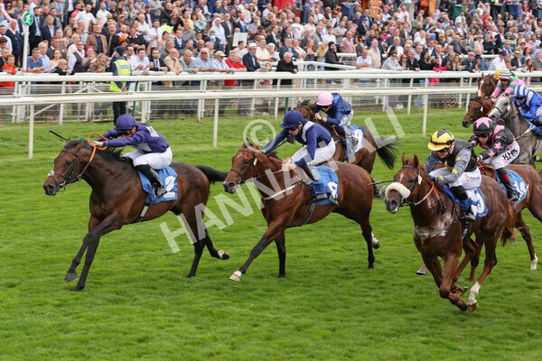 yr18082021r7-17 - Race 7 5.20pm Sky Bet Nursery Handicap