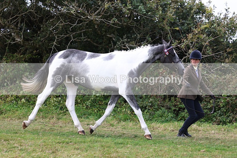 3E7A5364 - Class 19: Best Coloured in Hand